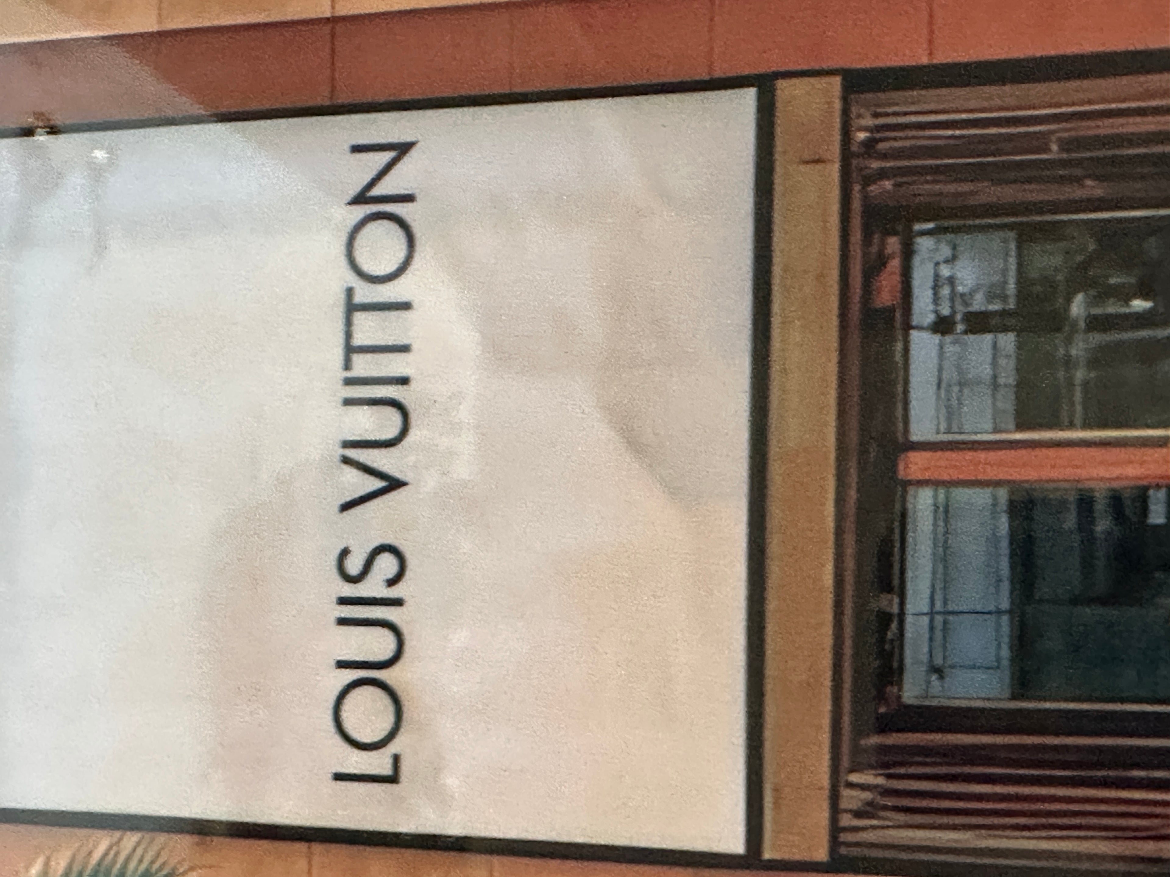 Louis Vuitton Storefront Cheetah Wall Art Framed Luxury Designer Fashion Print Home Decor