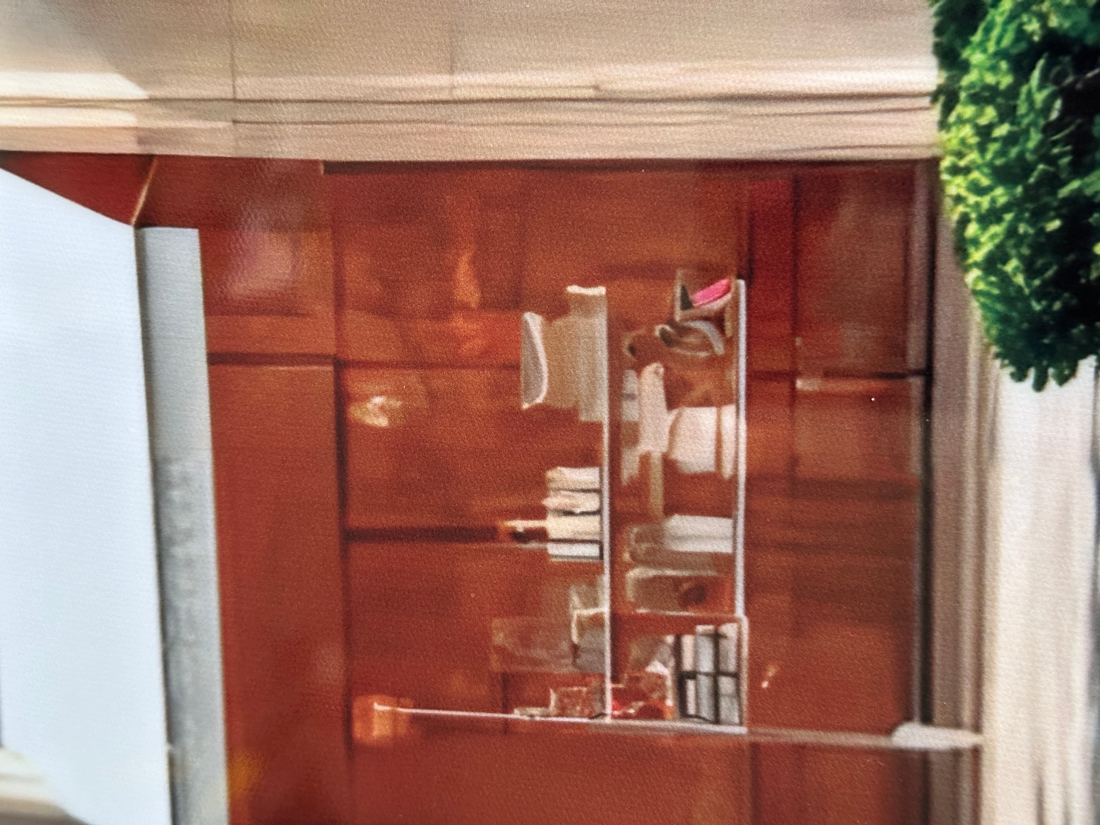 Louis Vuitton Storefront Cheetah Wall Art Framed Luxury Designer Fashion Print Home Decor