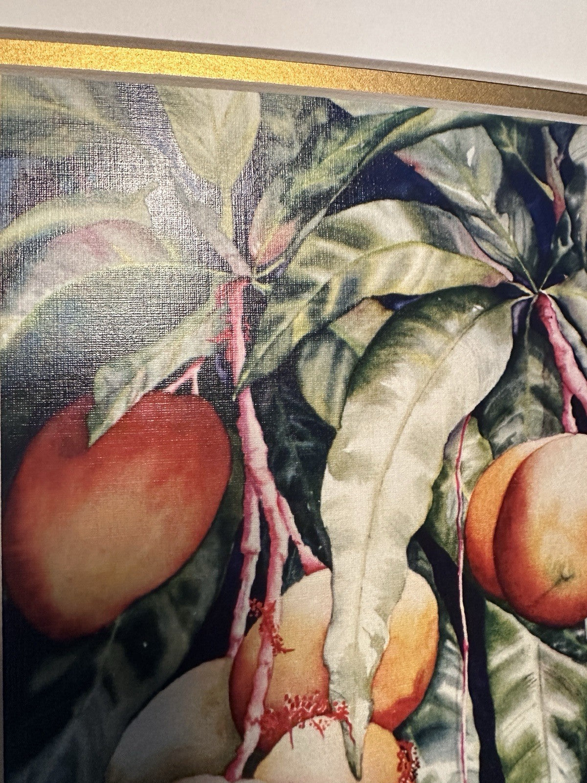 Sheree Latif Giclee Art Print Signed Mango Evening Hawaiian Watercolor Artist