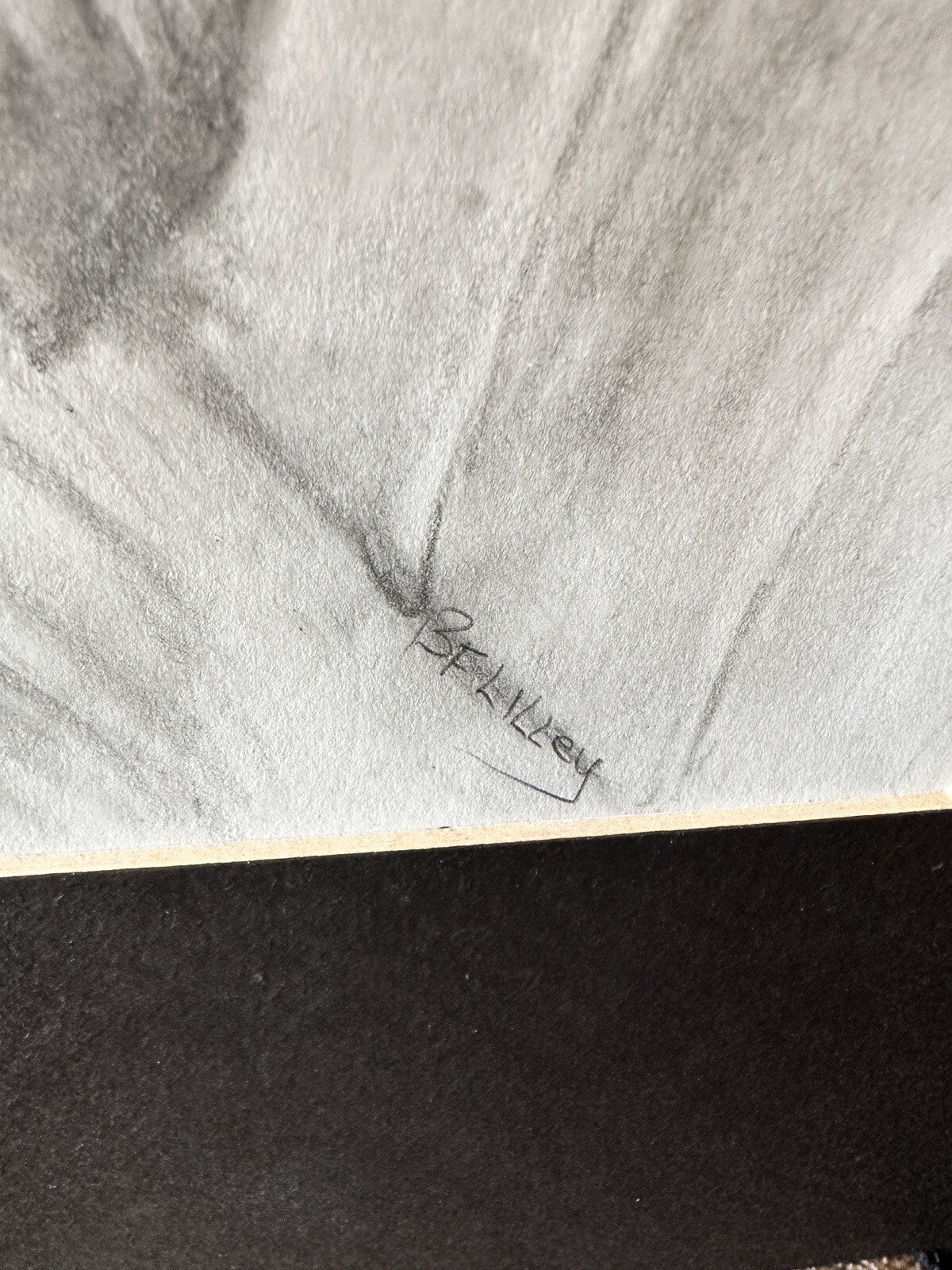 Original Signed Sketch Pomeranian Dog Laying Pencil Art Drawing Picture Animal