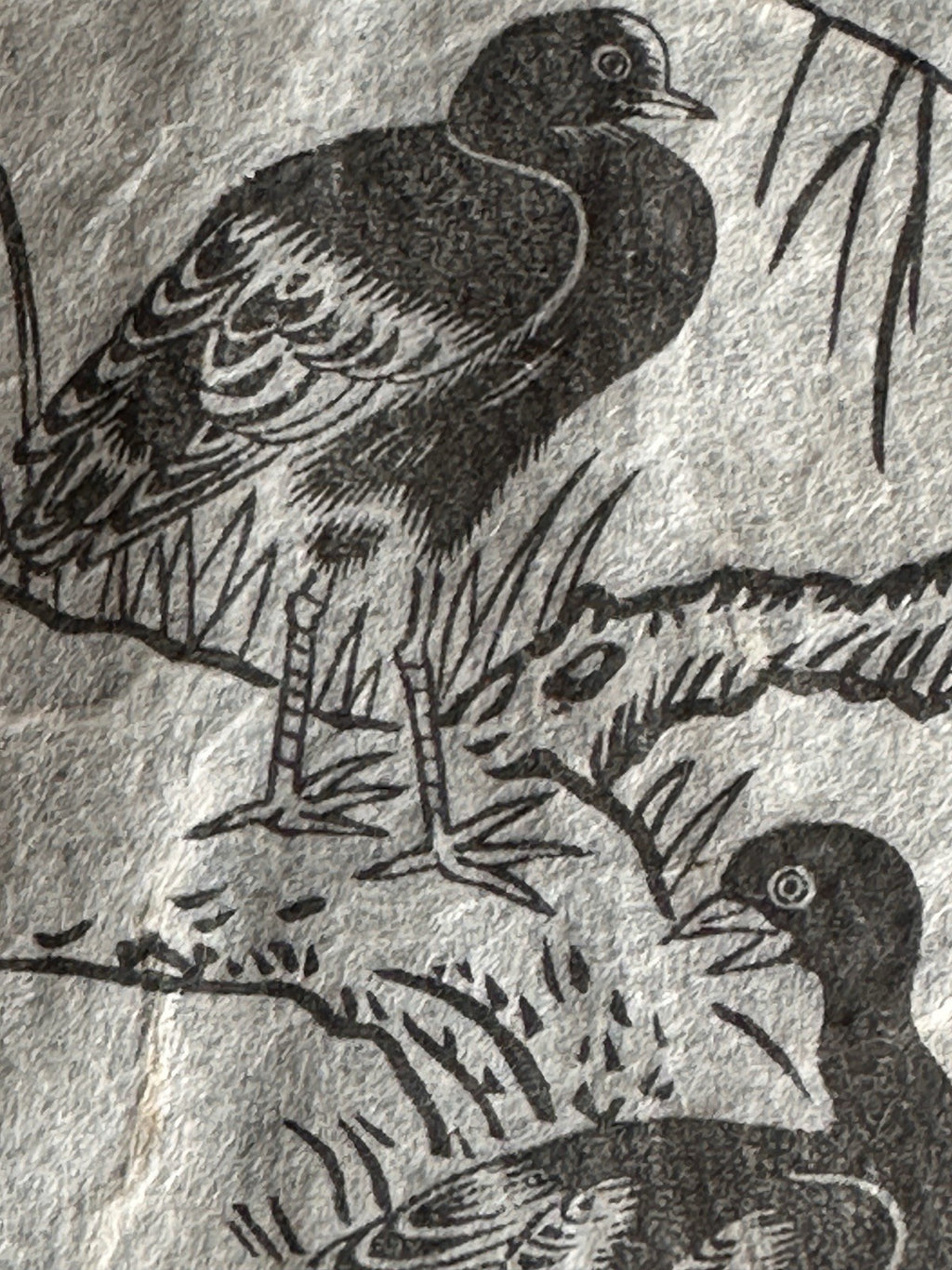 Framed Reproduction Ink Drawing Katsushika Hokusai  Birds Japanese Art Print