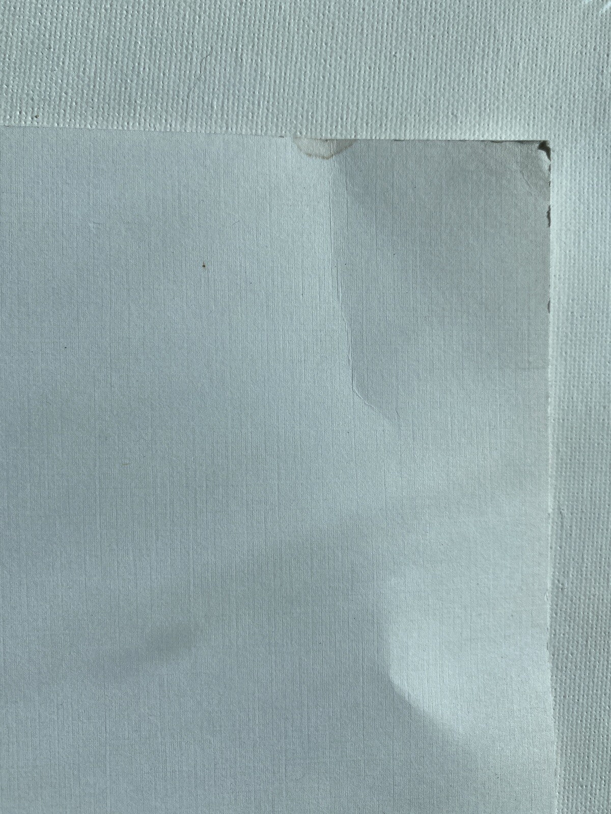 Jim Snook Studio Artist Cartoons 91 Collection Hunting Signed Sketch Art Print