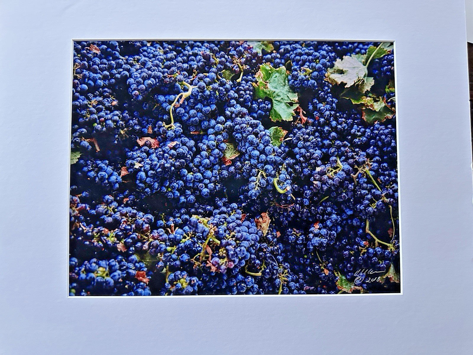 Livermore Valley Grape Wine Vineyards Art Photo Print Signed By Ron Essex 2018