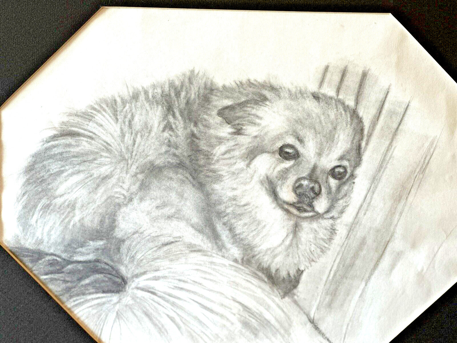 Original Signed Sketch Pomeranian Dog Laying Pencil Art Drawing Picture Animal