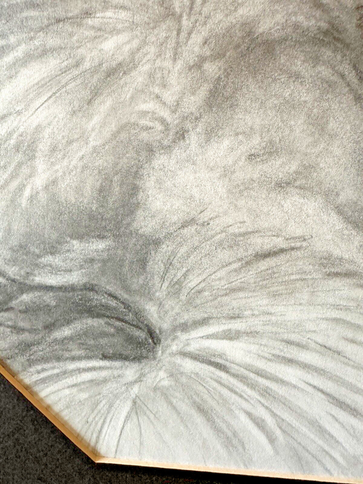 Original Signed Sketch Pomeranian Dog Laying Pencil Art Drawing Picture Animal