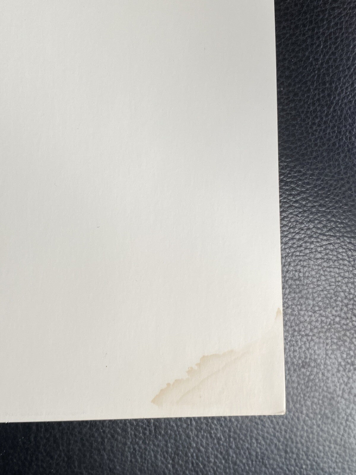 1981 Ruth Orkin Black White Photo Art Print Photographer W/ Little Girl NY 1947