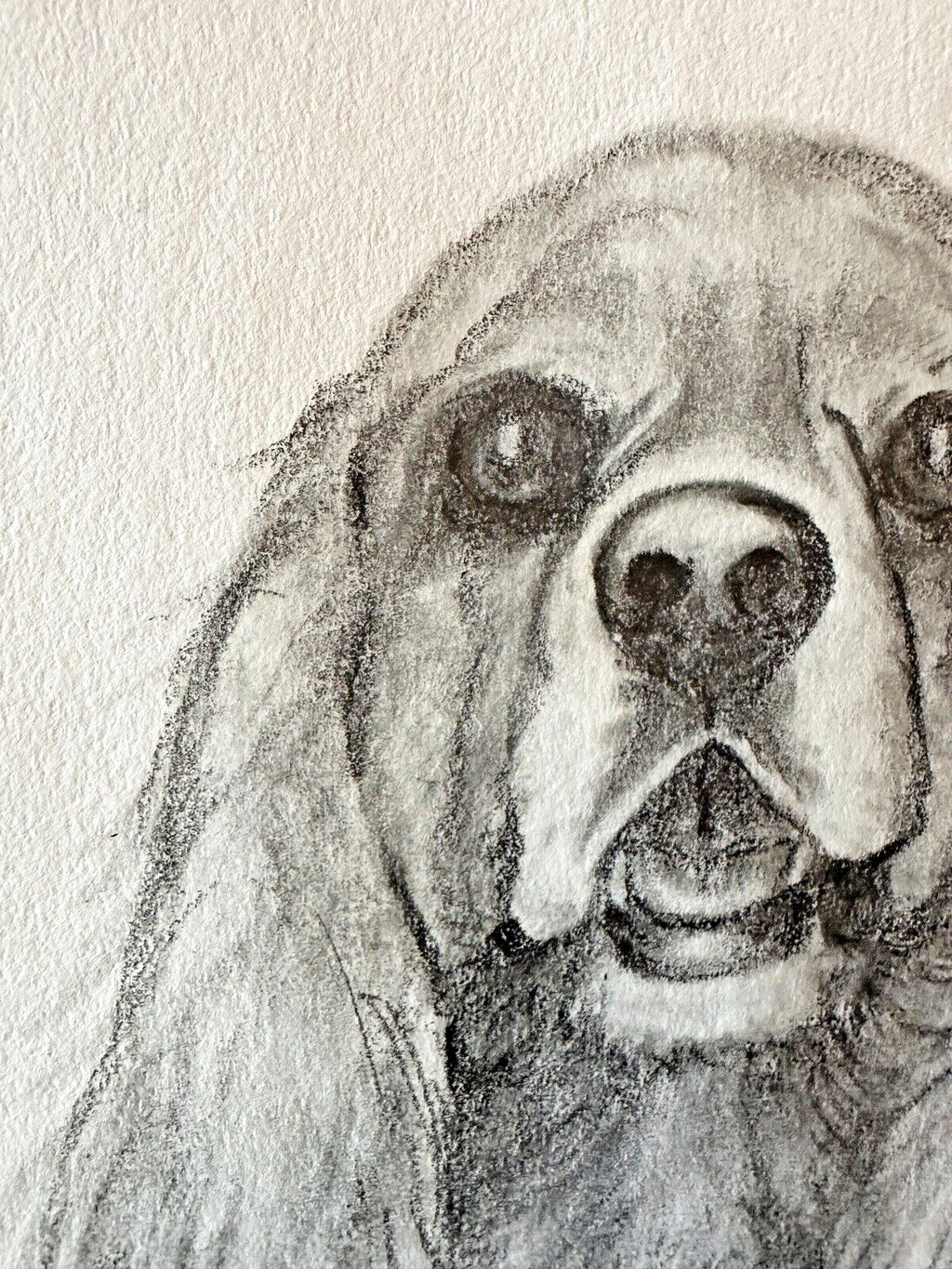 Original Sketch Drawing Cocker Spaniel Dog Art Drawing Picture Animal