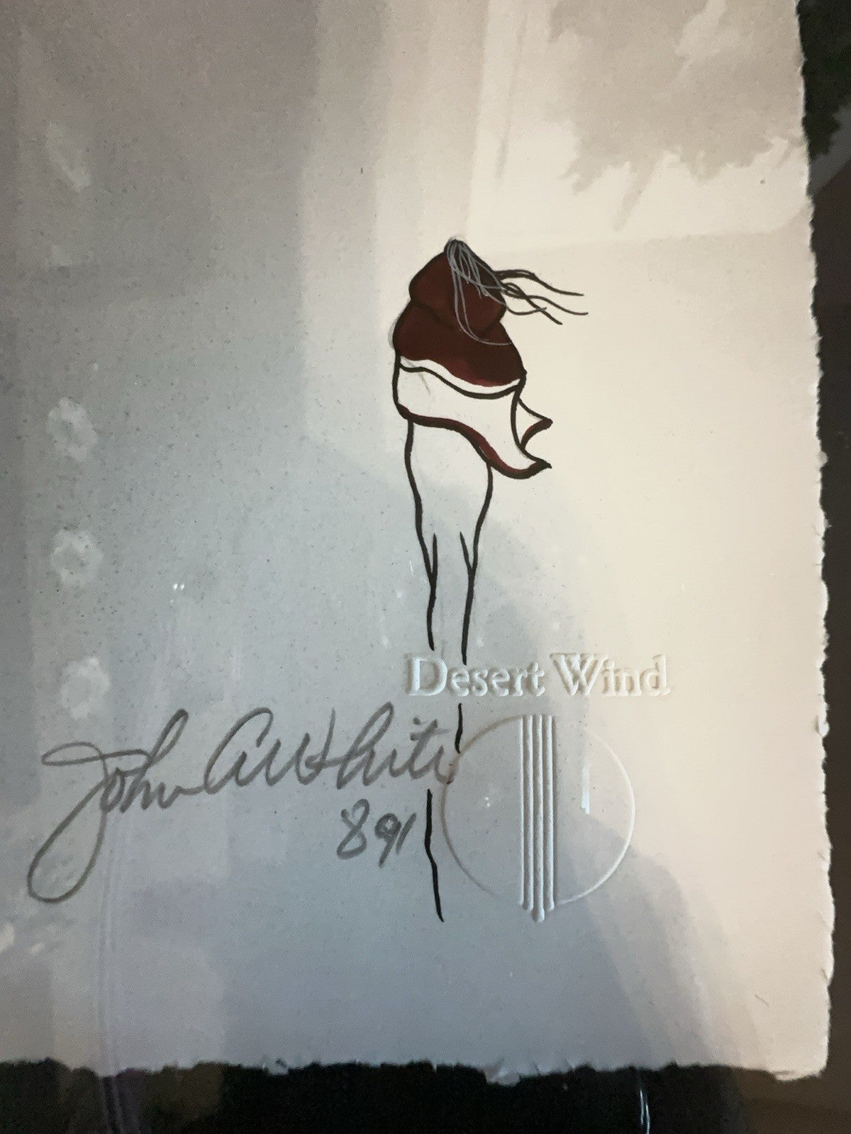 Original John A White Southwestern Desert Wind Native American Woman  Art Print