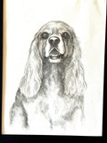Original Sketch Drawing Cocker Spaniel Dog Art Drawing Picture Animal
