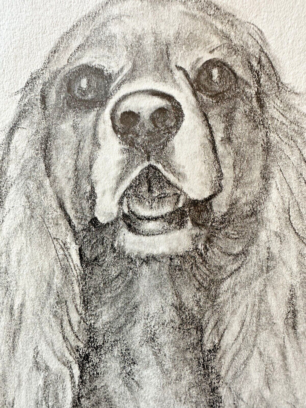 Original Sketch Drawing Cocker Spaniel Dog Art Drawing Picture Animal