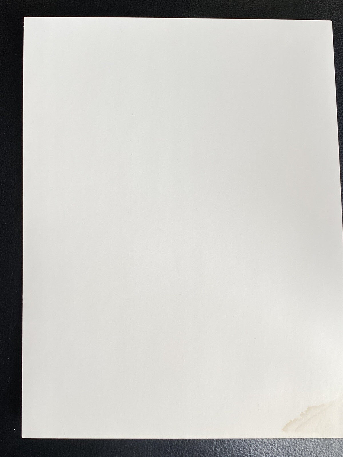 1981 Ruth Orkin Black White Photo Art Print Photographer W/ Little Girl NY 1947