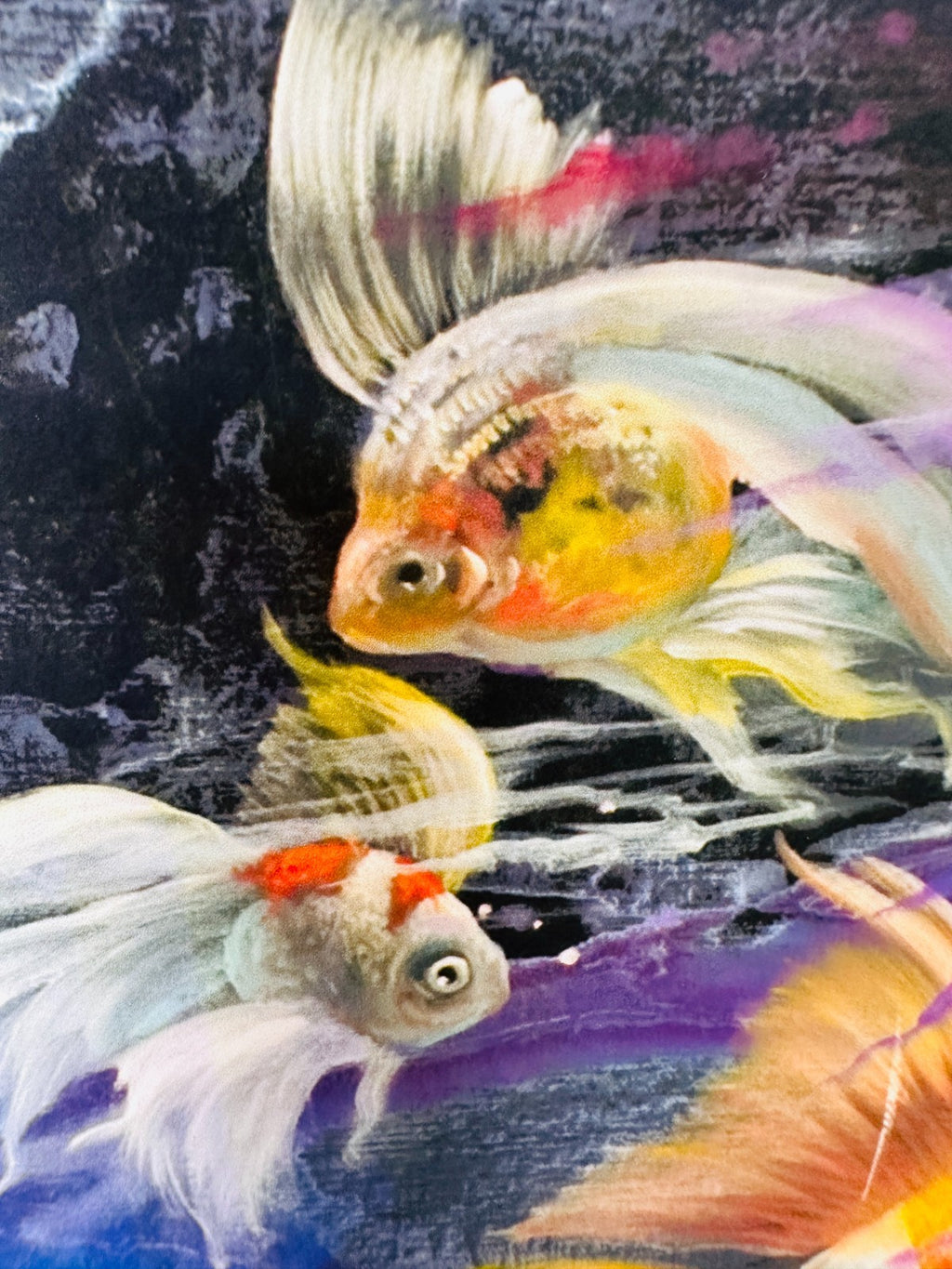 Barbara Gustafson Art Print From Original Oil Painting Fantail Goldfish Swimming